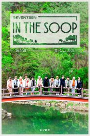 Seventeen in the Soop (2021) (2024)